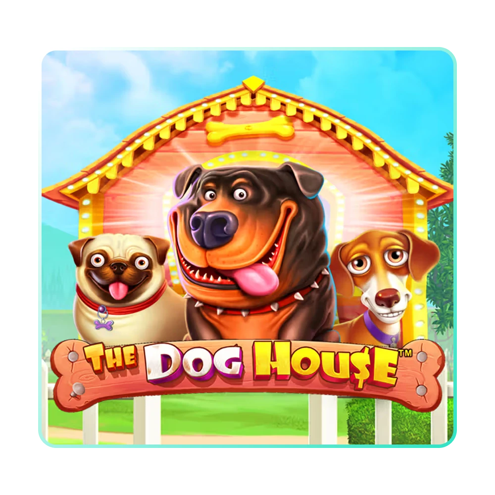 Play and win with every spin in the Dog House game.