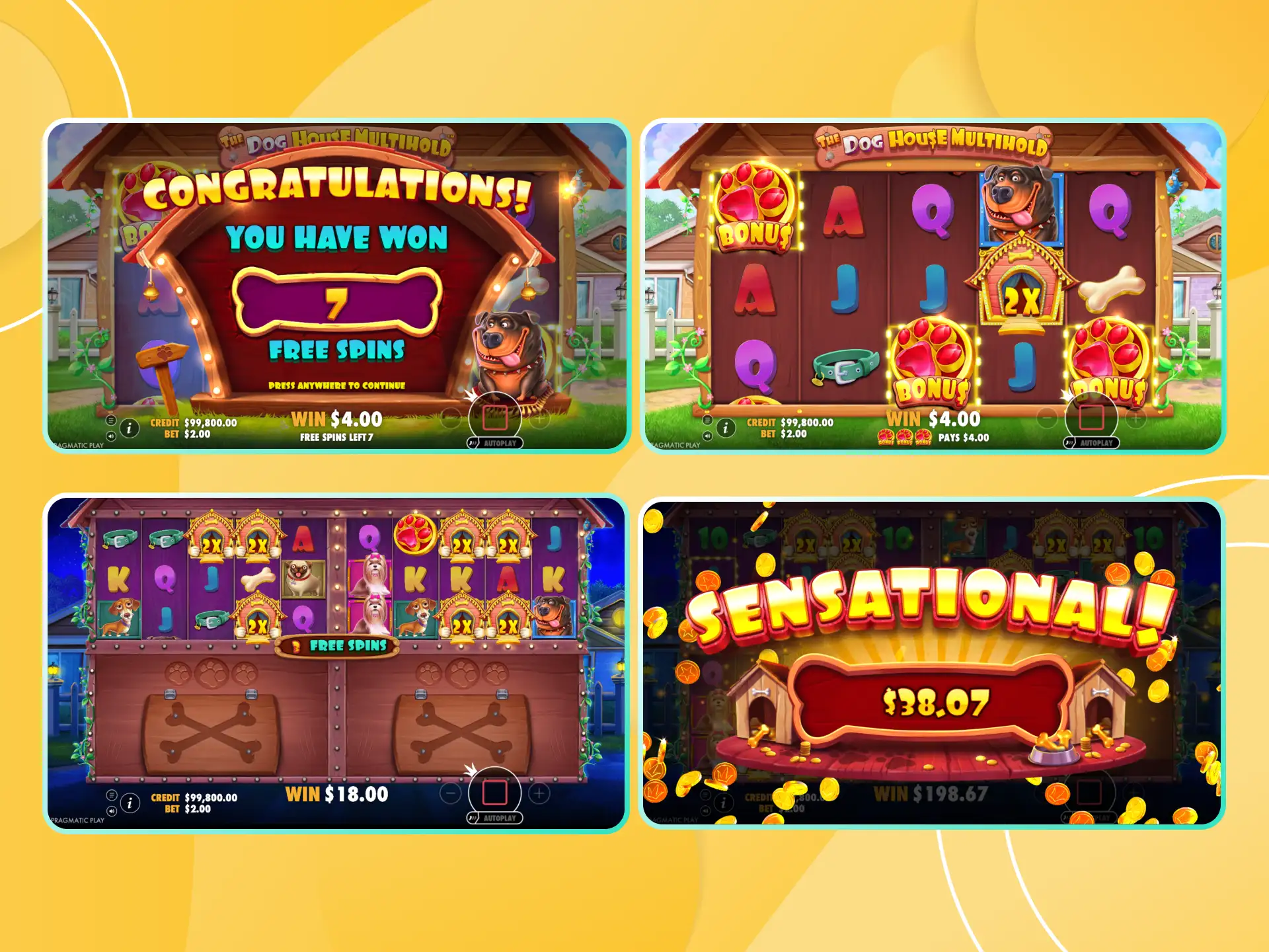 Play The Dog House Multihold and increase your winnings.