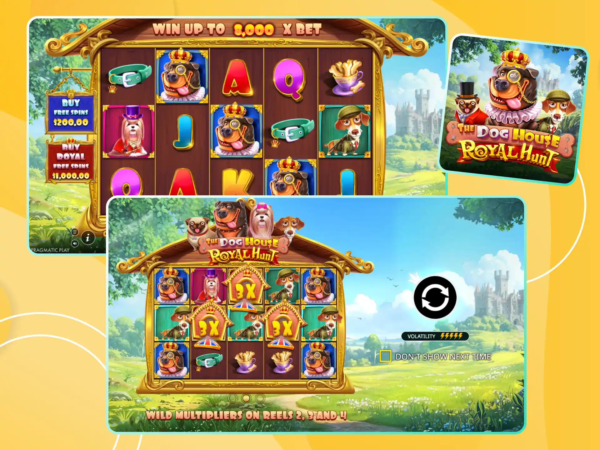 Try your luck in The Dog House Royal Hunt game and win bonuses and money.