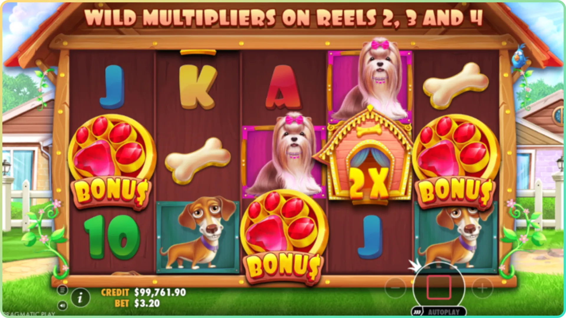 Take part in the bonus round in the Dog House game.