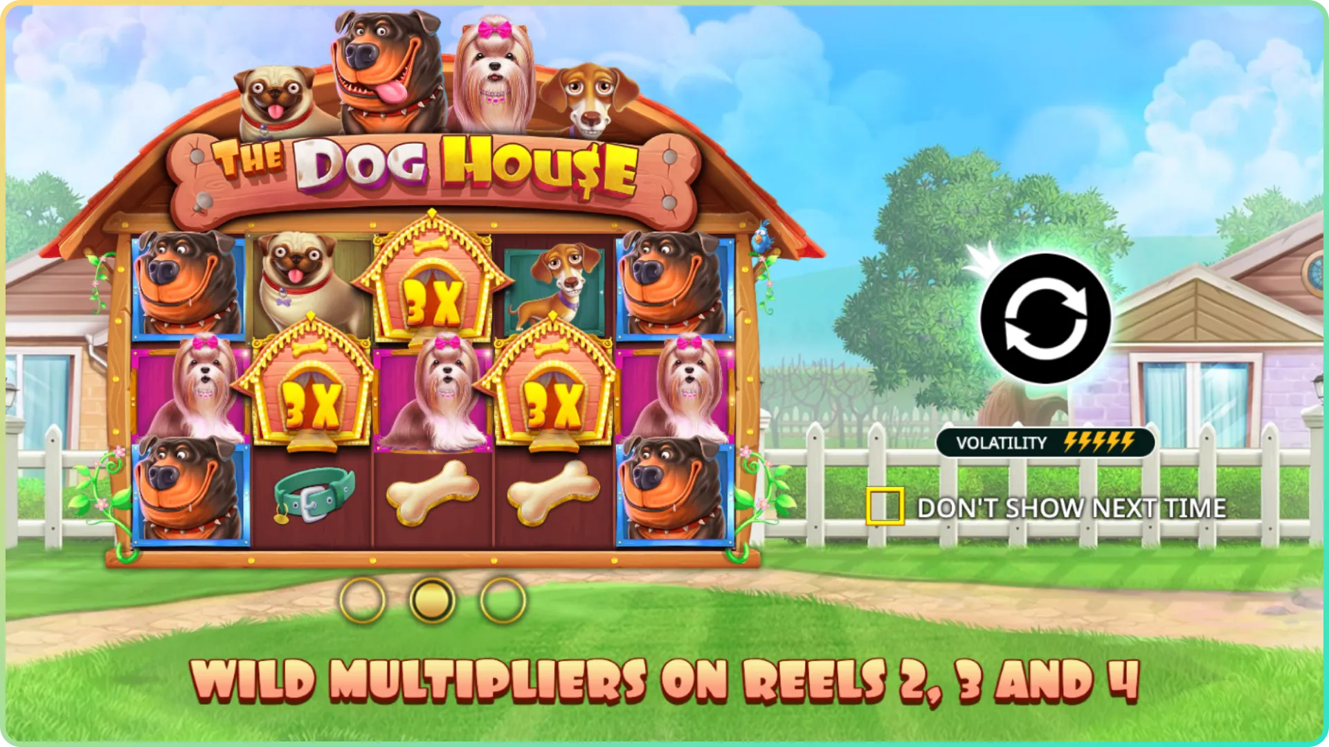Win easily, play the Dog House game.