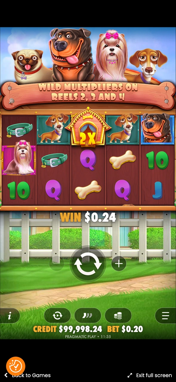 Get big wins playing Dog House anywhere.