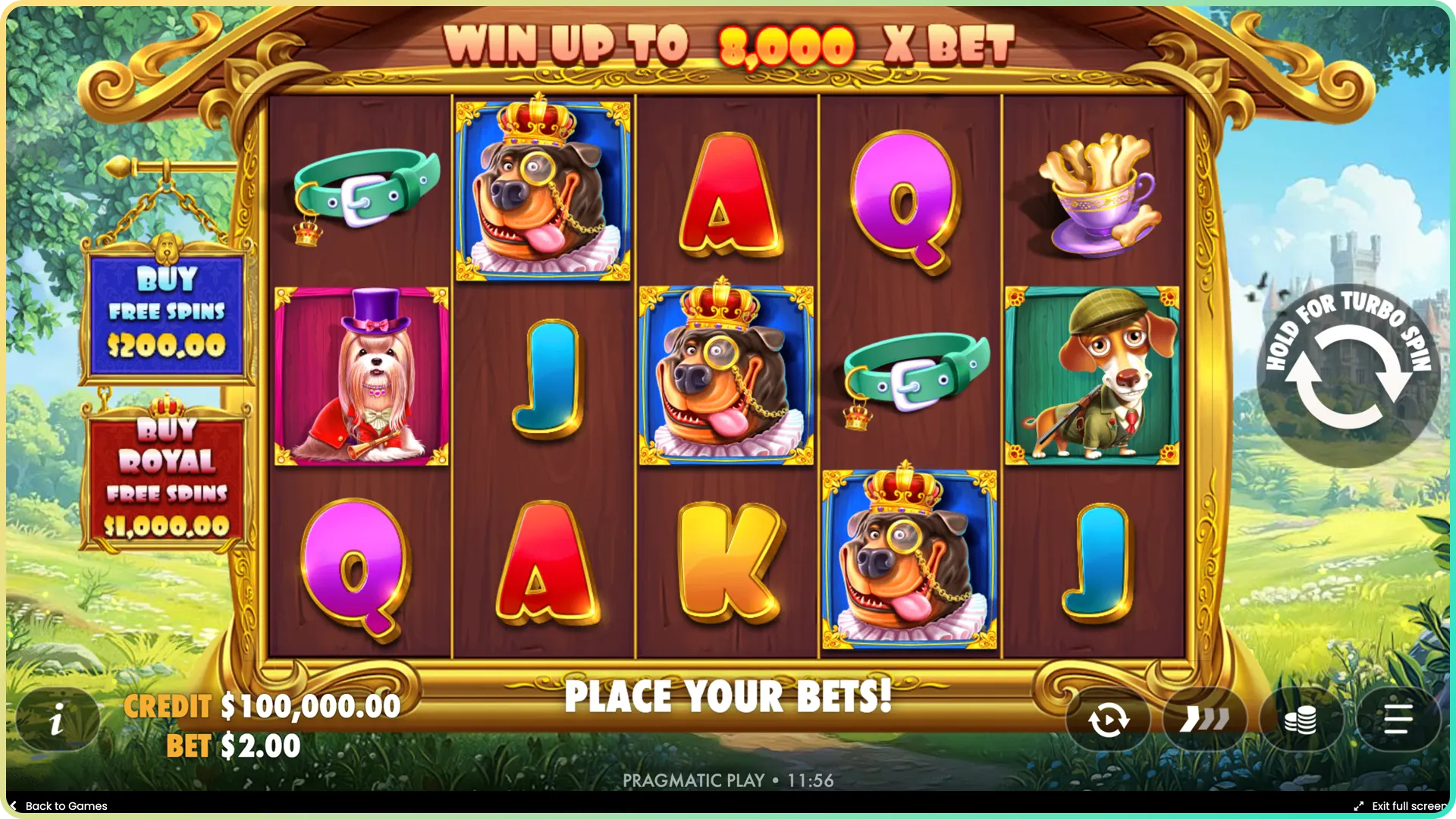 Play Dog House Royal Hunt and spin the reels anytime.